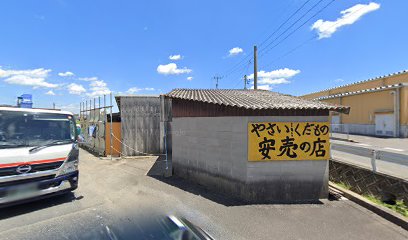 野菜と果物の店(さかい)