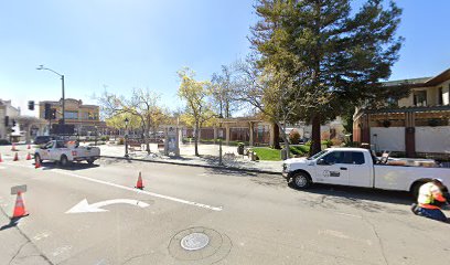 Bike Rack - Lizze Fountain Park