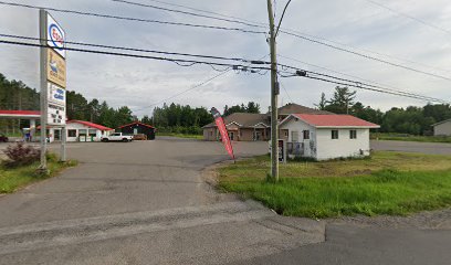 Children of Shingwauk