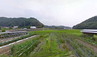 学校法人華野学園 認定こども園スミレ幼稚園