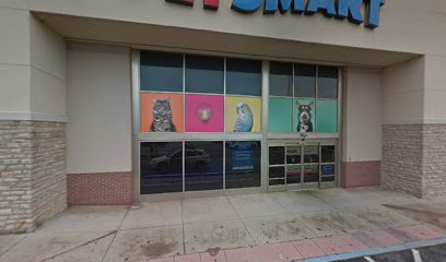 PetSmart Dog Training