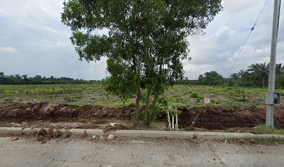 Industrial land (Sijangkang Branch )