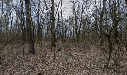 Naturistická nuda pláž Jezero Poděbrady