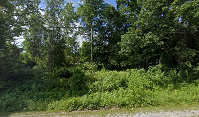 Au Sable River - Oscoda Riverbank Park Boat Launch