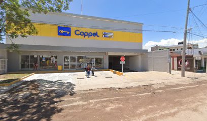 Coppel Guerrero