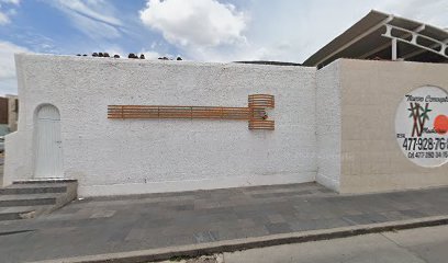 Instituto de Salud Pública del Estado de Gunajuato Sector I