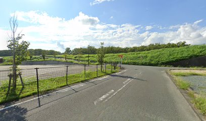 筑後広域公園 駐車場