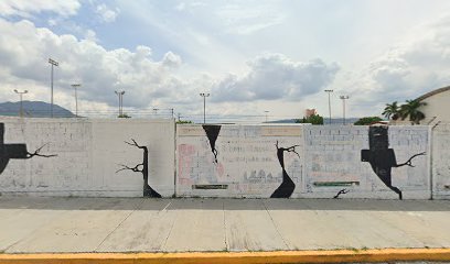Escuela De Patinaje Artístico Del Estado De Chiapas