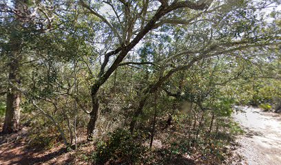 Rodgers Cemetery