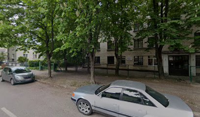 Saulutė, Kauno apskrities internatinė mokykla