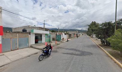 Auto Lavado El Cochis