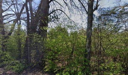 Moores Lane East Greenway