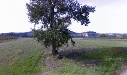 Amicale Canine Vallée du Rhône Soyons