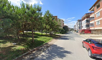 Ordu Şirinevler Yeni Camii