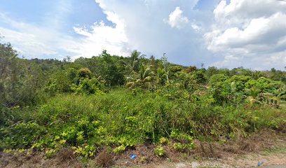 Kebun Kong