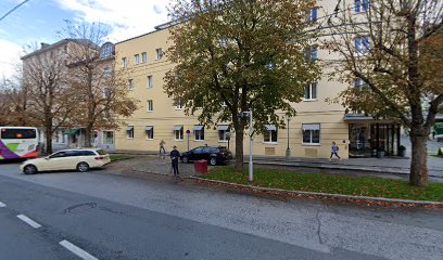 Franz-Josef-Straße 26 Garage