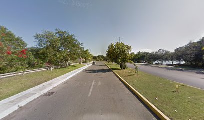 Sindicato de trabajadores académicos y adminsitrativos de la Universidad de Quintana Roo