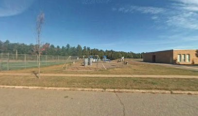 Birchview Elementary Playground