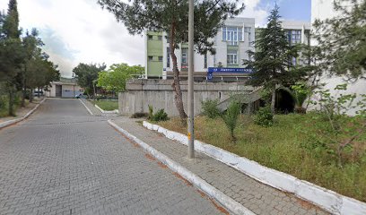 İzmir DTF ,Transfer Baskı , S.Tur Transfer Merkezi