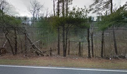 Davis Stump Grinding