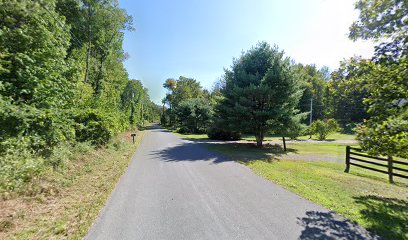 Gallagher's Stud Farm