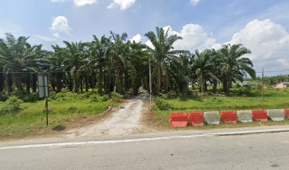 Ladang Ternakan Kambing Asbad ( Hutan Melintang, Perak )