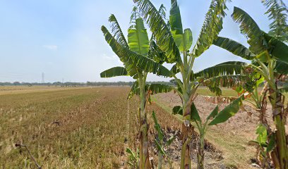 Koperasi Mebel Manunggal Jaya