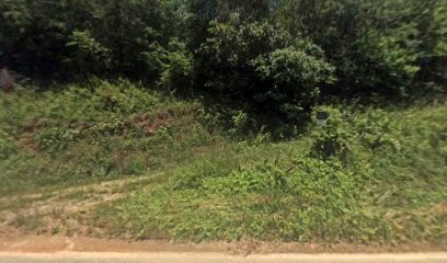 Whisnant Family Cemetery