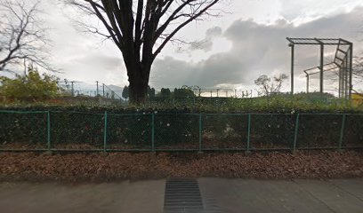 上総合運動公園野球場