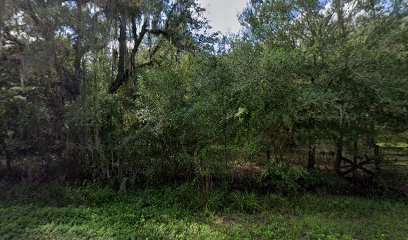 All Florida Land Clearing and Mulching LLC