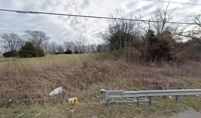 Nolensville Cemetery (African American)