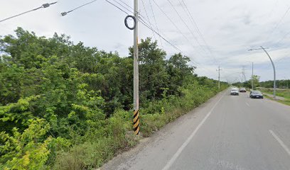 Sabor a México