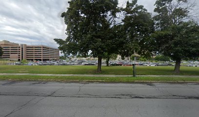 81 Holland Ave Parking