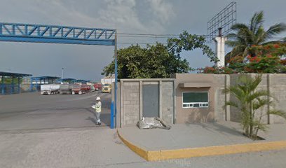 Comercio Exterior de Manzanillo S.C.