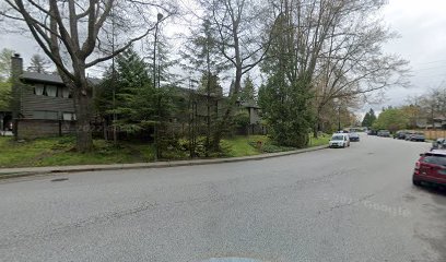 The Shire Little Free Library