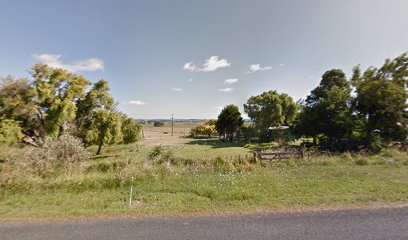 Dargaville Boarding Kennels