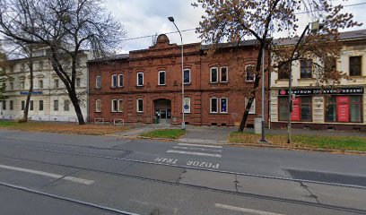 Hornoslezská vysoká škola obchodní