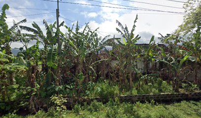 Kios Pakan Burung