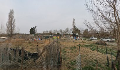 Association chats libres Villeneuve-lès-Béziers