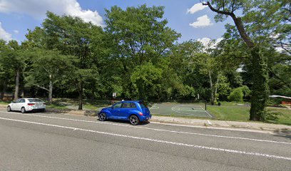 Angel Park basketball court