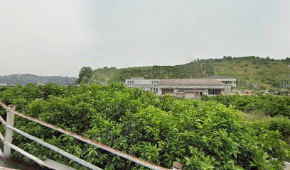 宇和島市 玉津保育園