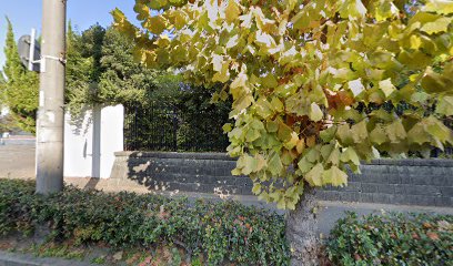 兵庫県高体連カヌー専門部