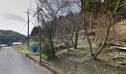 京都福知山サライキャンプ場