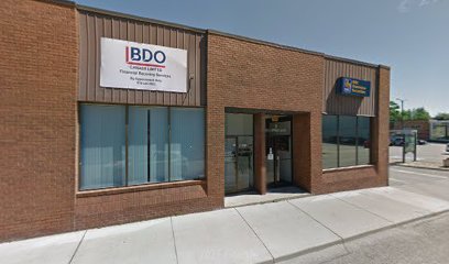 BDO Debt Solutions