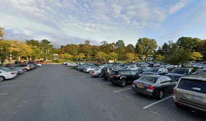 Westchester Square Parking Lot