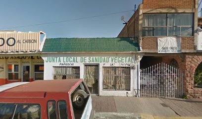 Junta Local De Sanidad Vegetal