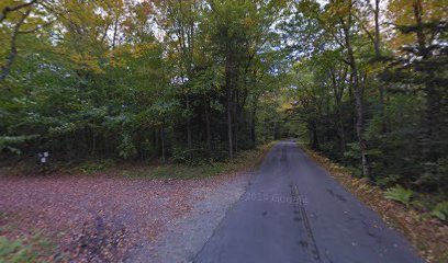 Bull Brook Road, WMNF