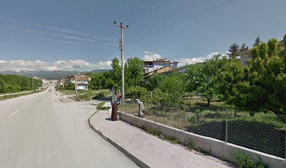 Tokat niksar