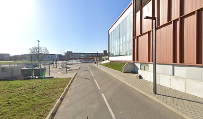 Arena