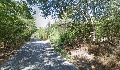 Delwau Lane Trail Head - Walnut Creek Trail